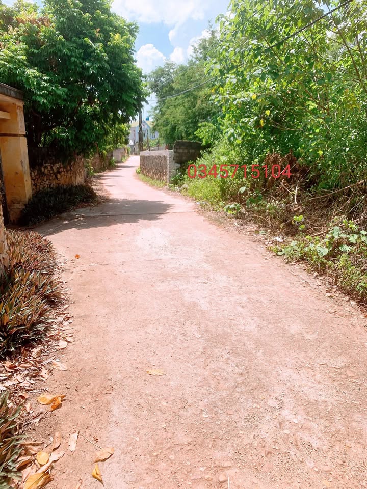 Đất nền Chu Điện Lục Nam 210m² giá chỉ 600 triệu - Mặt tiền 7m, thuận lợi cho đầu tư!