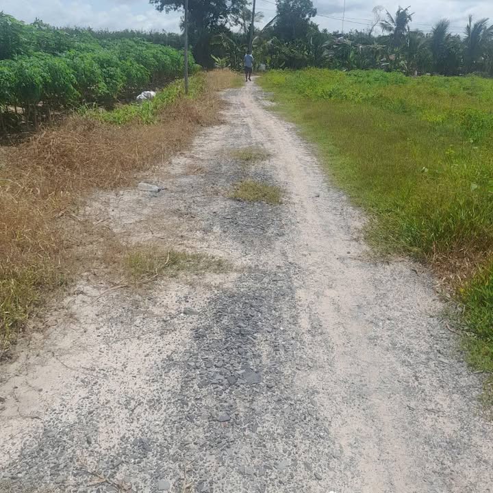 Đất nền Phước Vinh Châu Thành 1000m² giá chỉ 210 triệu - Cơ hội đầu tư tuyệt vời!