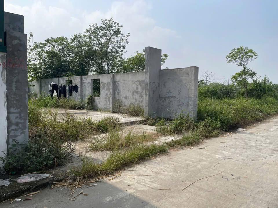 Đất nền Tân Tiến Văn Giang 120m² - Đối diện trường Đại học Bách Khoa, giá thỏa thuận!