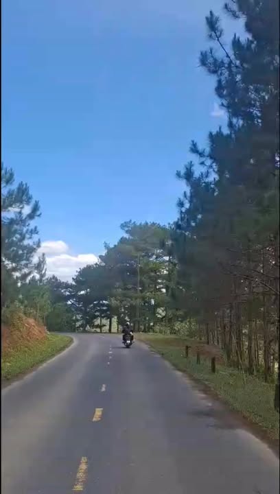 Đất Farm Lát, Lạc Dương 2100m² giá 1.6 tỷ - View Săn Mây Tuyệt Đẹp!