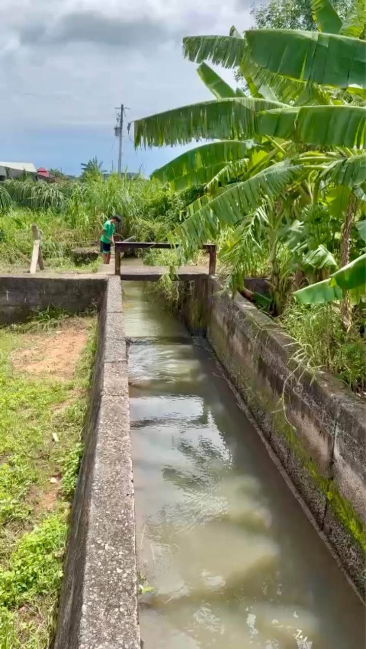 Đất thổ cư Hàm Hiệp Bình Thuận 1100m² giá 750 triệu - Đầu tư sinh lời ngay!