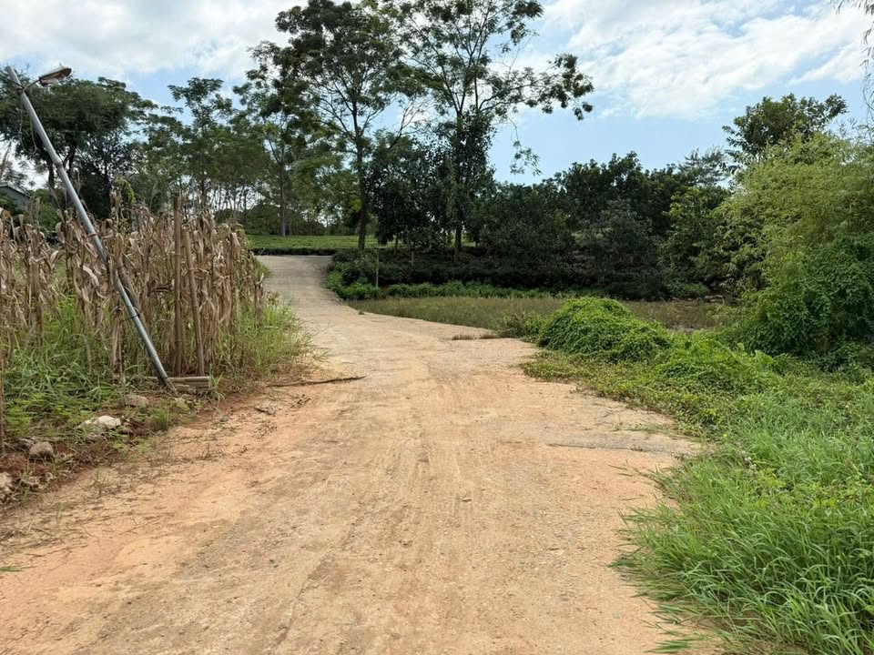 Đất nền An Tường 200m² giá 900 triệu - Đầu tư sinh lời ngay!