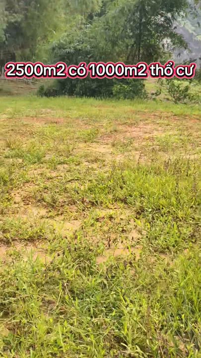 Đất nền Hùng Sơn, Kim Bôi 2500m² chỉ 250 triệu - Giá hợp lý, đầu tư sinh lời!