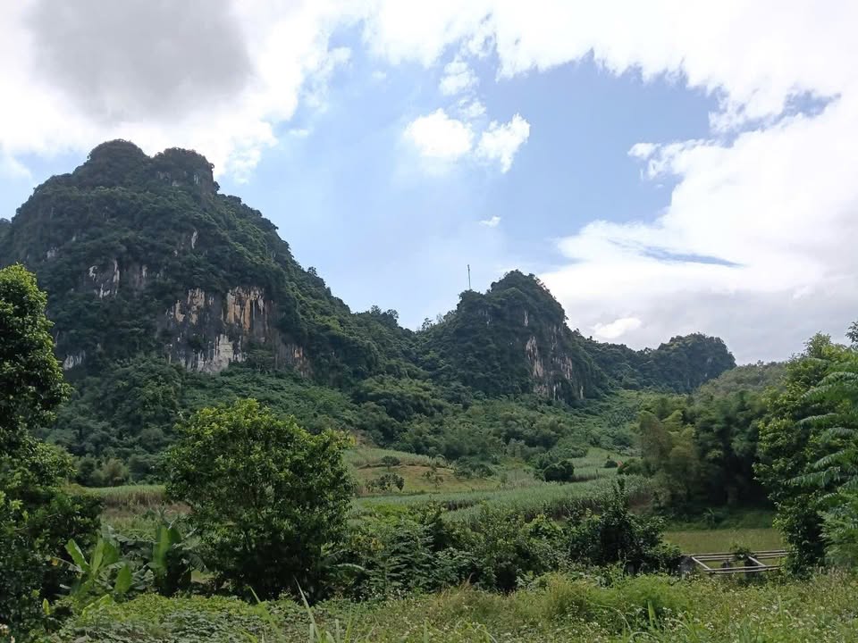 Đất Vĩnh Tiến Kim Bôi 800m² giá 1 tỷ - View cánh đồng đẹp!