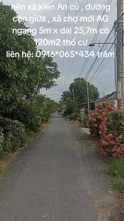 Đất nền mặt tiền đường nhựa tại Kiến An, Chợ Mới, An Giang - Giá chỉ 450 triệu!