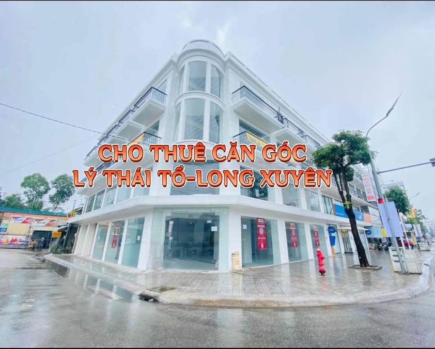 Cho thuê căn góc 340m² tại Long Xuyên giá 100 triệu - Thiết kế mở lý tưởng cho kinh doanh!