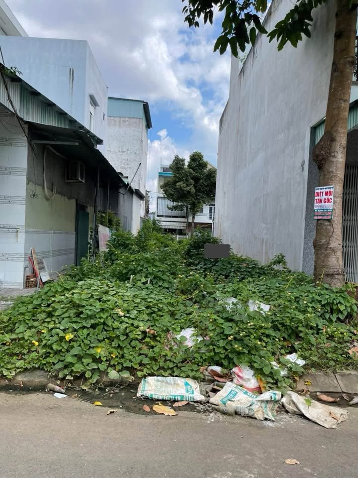 Đất nền đường số 5 Sao Mai, Bình Khánh 85m² giá 2.1 tỷ - Cơ hội đầu tư hấp dẫn!