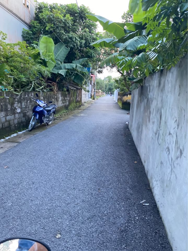 Đất nền Hòa Mạc Duy Tiên 123m² - Tiềm năng kinh doanh phòng trọ!