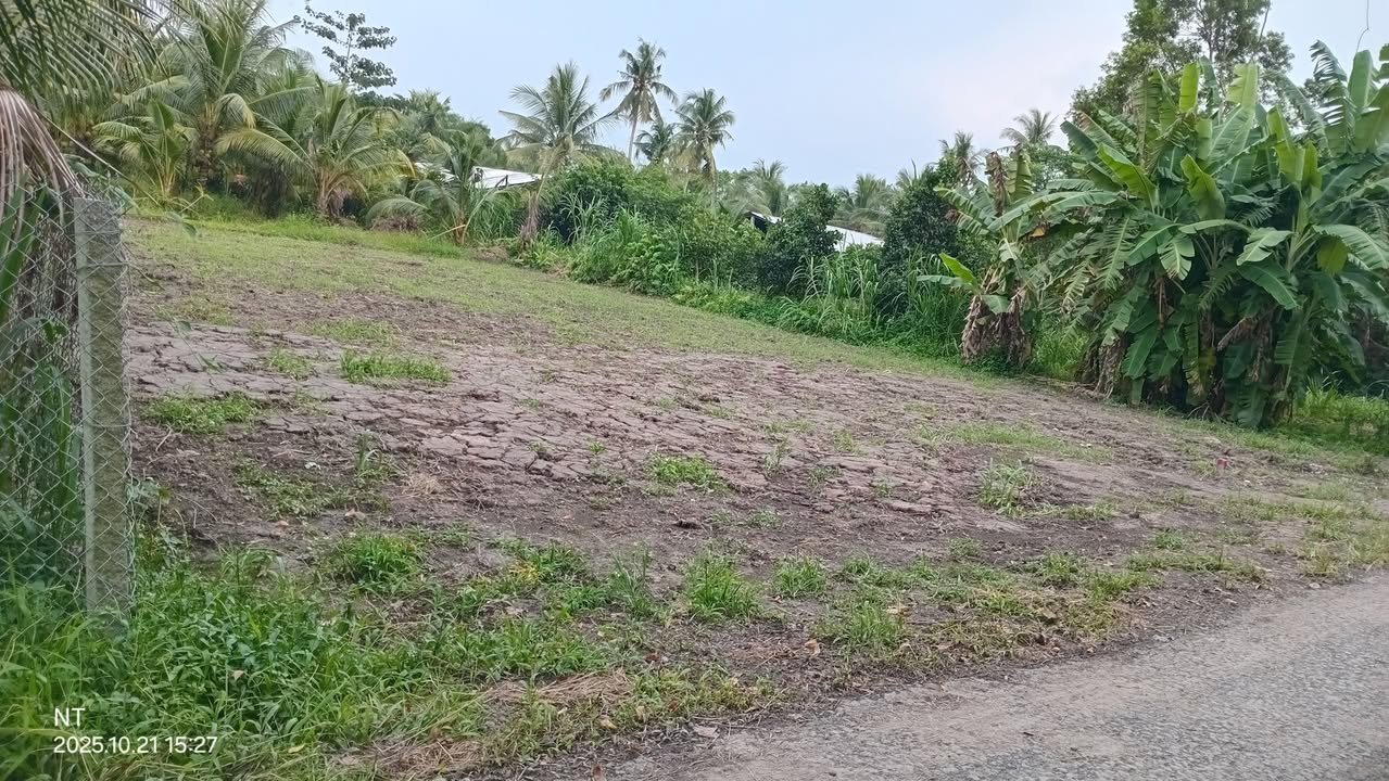 Đất nền 147m² Ấp 3 Hậu Lộc Tam Bình giá 280 triệu - Cơ hội đầu tư hấp dẫn!