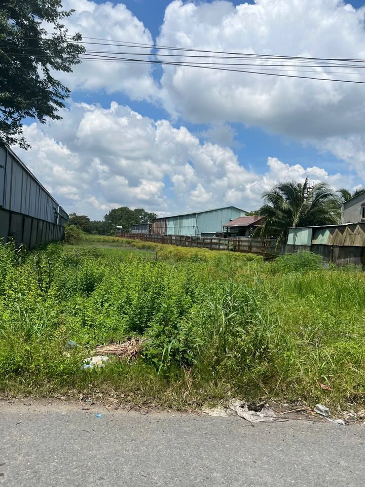 Kho xưởng diện tích 5000m² tại Thường Tân - Giá chỉ 4.6 tỷ - Đầu tư sinh lời ngay!