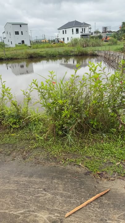 Đất nền Hương Sơn 160m² giá từ 1 tỷ - Sổ đỏ chính chủ, đầu tư sinh lời!