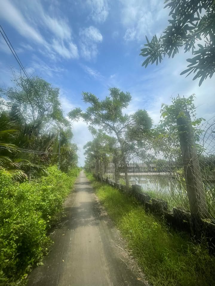 Đất nền An Thới Đông Cần Giờ 10.801m² giá 32.403 tỷ - Pháp lý rõ ràng