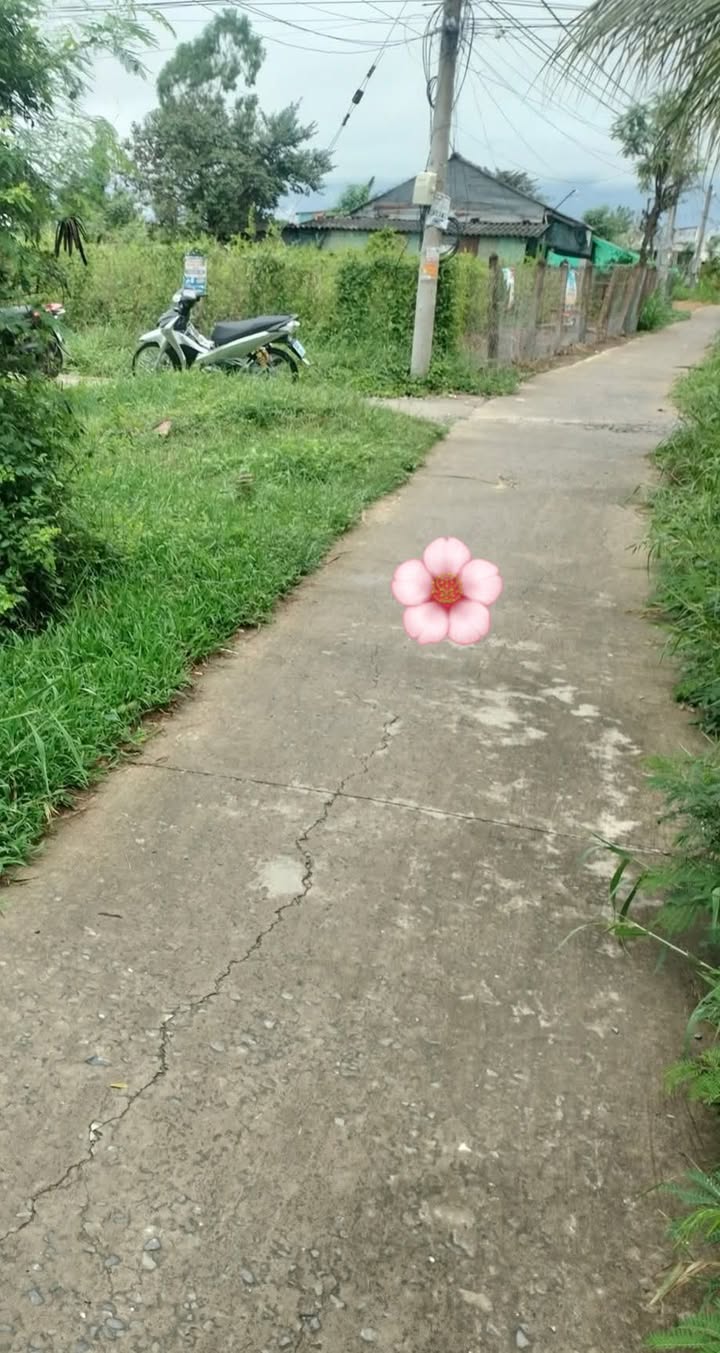 Đất nền xã Bình Nghị, Gò Công Đông 145m² giá chỉ 250 triệu - Cơ hội đầu tư tuyệt vời!