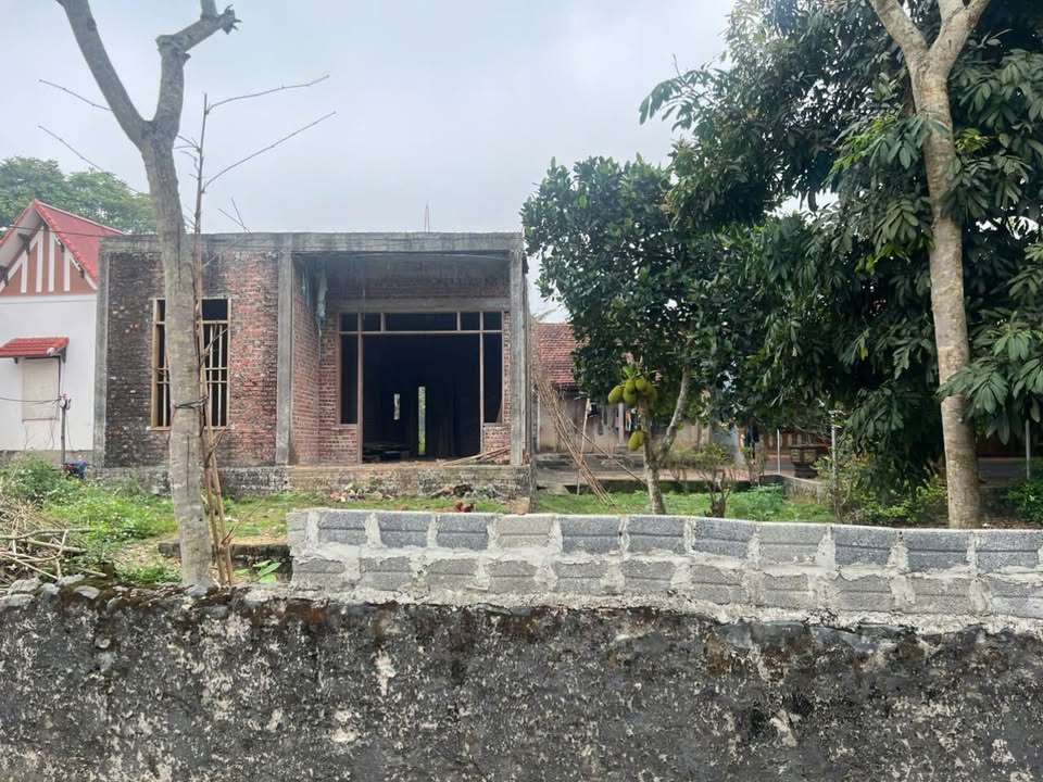 Đất nền mặt đường xã Cẩm Giang 544m² giá 602 triệu - Đầu tư sinh lời ngay!