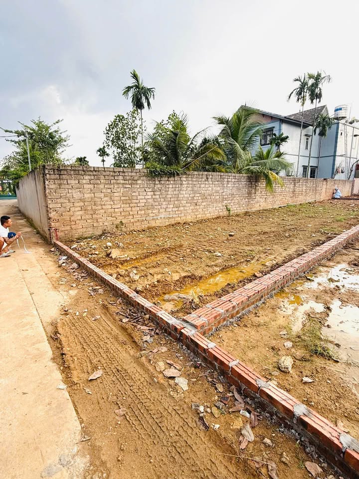 Lô đất Hạ Bằng 115m² giá 4.6 tỷ - Đầu tư sinh lời tiềm năng!