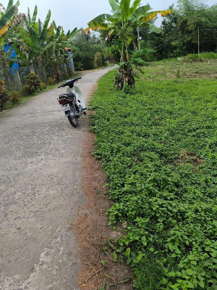 Đất Tường Đa Châu Thành 2650m² giá 1.75 tỷ - Đầu tư sinh lời ngay!