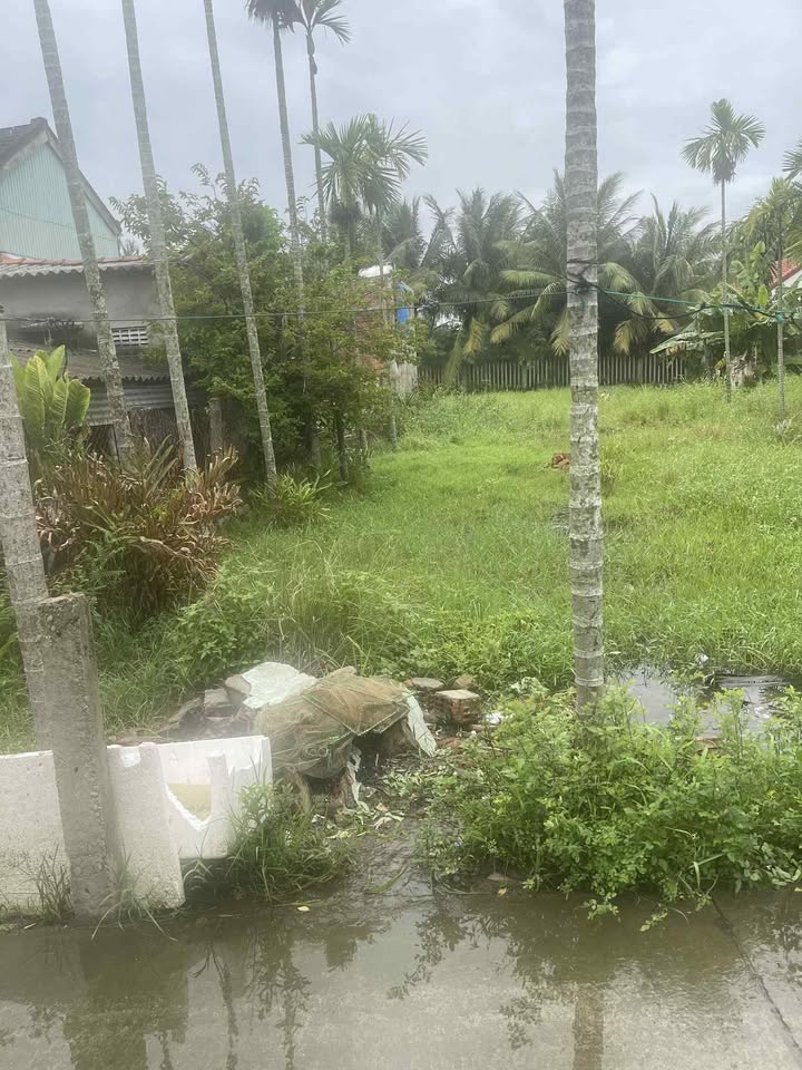 Đất Cẩm Thanh 150m² giá 2.7 tỷ - Sát Trần Nhân Tông, Đầu tư lý tưởng!