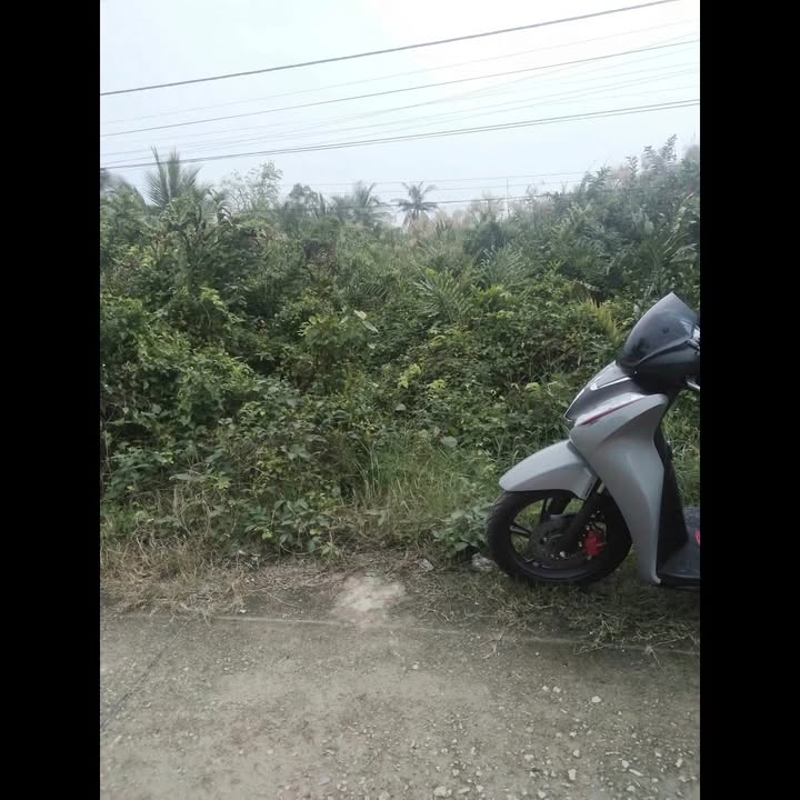 Đất nền mặt tiền đường bê tông Giồng Giữa 926m² giá 51.03 tỷ - Đầu tư sinh lời ngay!