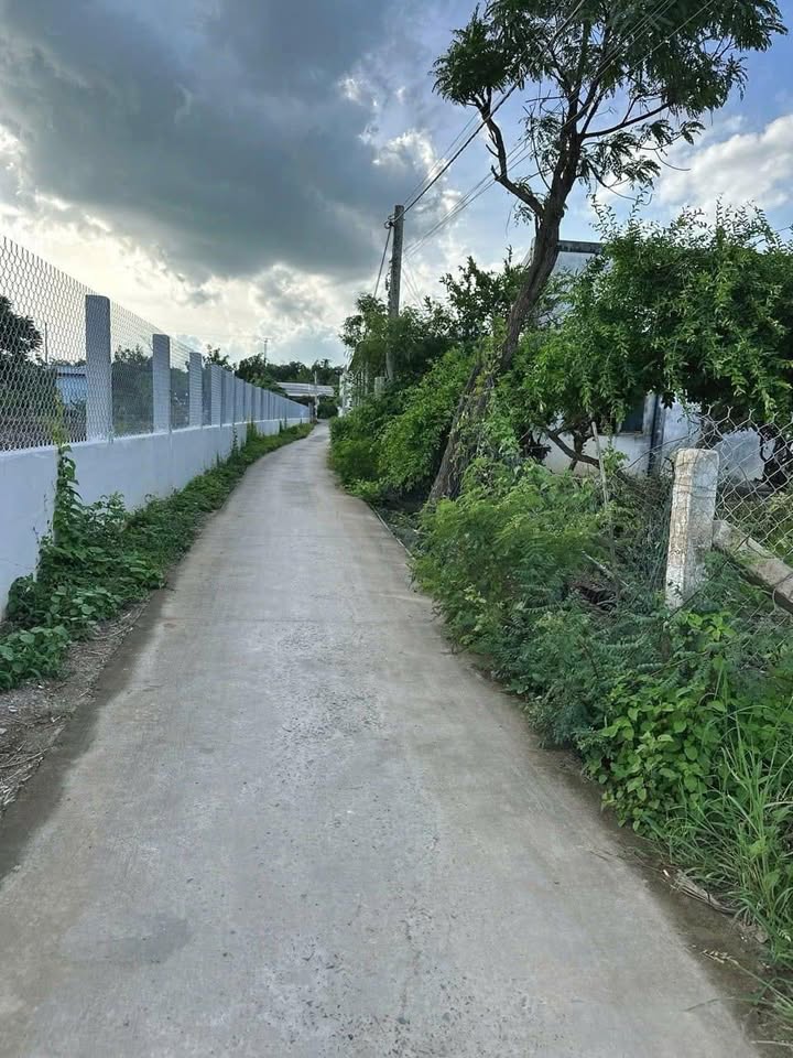 Đất thổ cư 100m² tại Bình Nghị, Gò Công Đông chỉ 350 triệu - Sổ đỏ chính chủ!