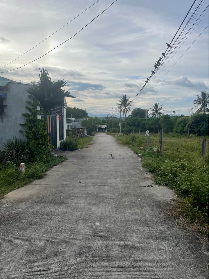 Đất thổ cư 240m² giá chỉ 500 triệu - Cơ hội đầu tư tốt tại Đăk Cấm, Kon Tum!