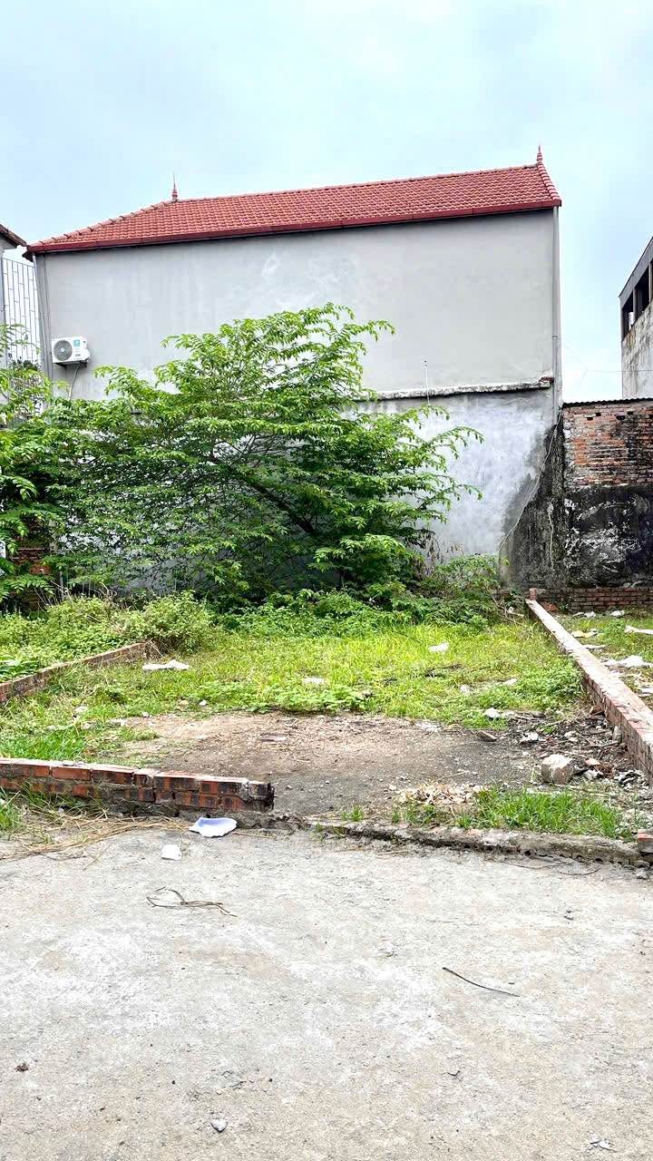 Đất thổ cư Tam Đồng, Mê Linh 60m² giá 3 tỷ - Khu dân cư đông đúc!