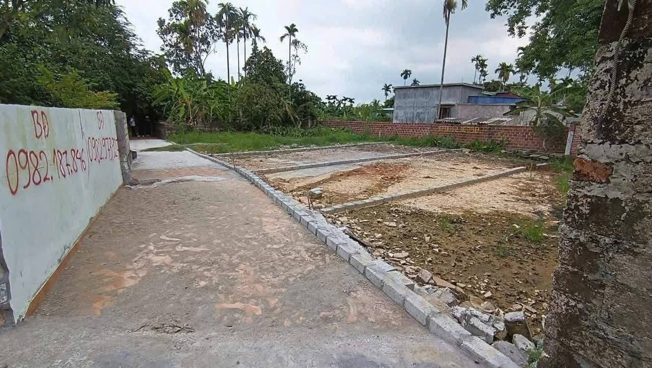 Đất nền Kênh Giang Thủy Nguyên 66.7m² - Ô tô vào tận nơi, giá cực tốt!