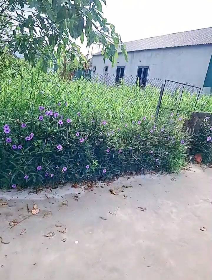 Đất Nam Anh 212m² giá 1 tỷ - Cơ hội đầu tư tuyệt vời!