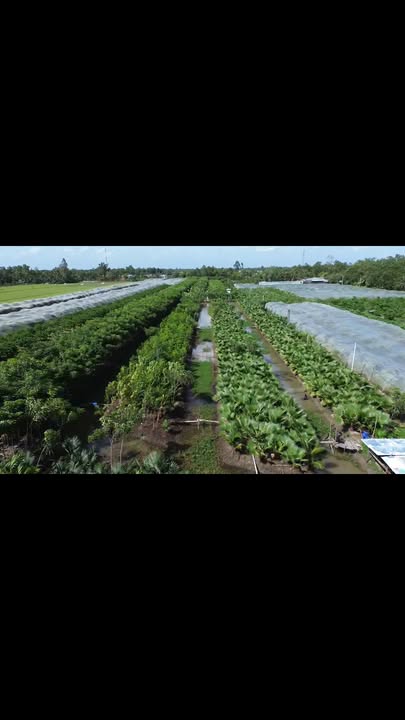 Đất nền 13 công Long Hưng Ô Môn 3.9 tỷ - Tiềm năng đầu tư lớn!