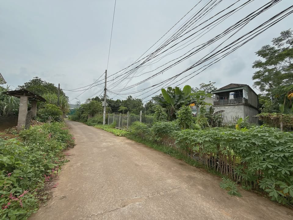 Đất nền Kim Đức, Việt Trì 126m² giá chỉ 1 tỷ - Sổ hồng chính chủ, mặt tiền 10m!