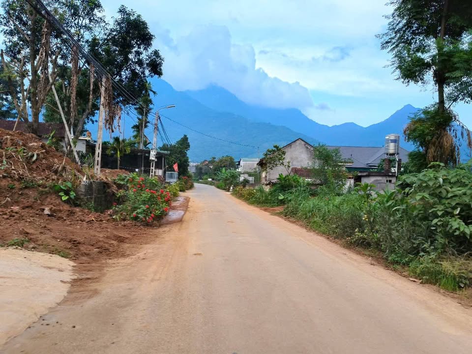 Đất mặt đường nhựa tại Minh Quang, Ba Vì 574m² giá chỉ 2 tỷ - Cơ hội đầu tư hấp dẫn!