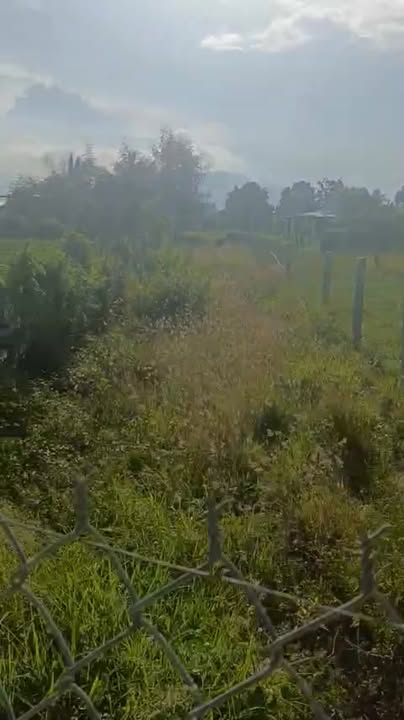 Đất Nông Nghiệp Khu Phố 1, Thị Trấn Phước Dân 177m² - Đầu Tư Hời Tại Ninh Thuận!