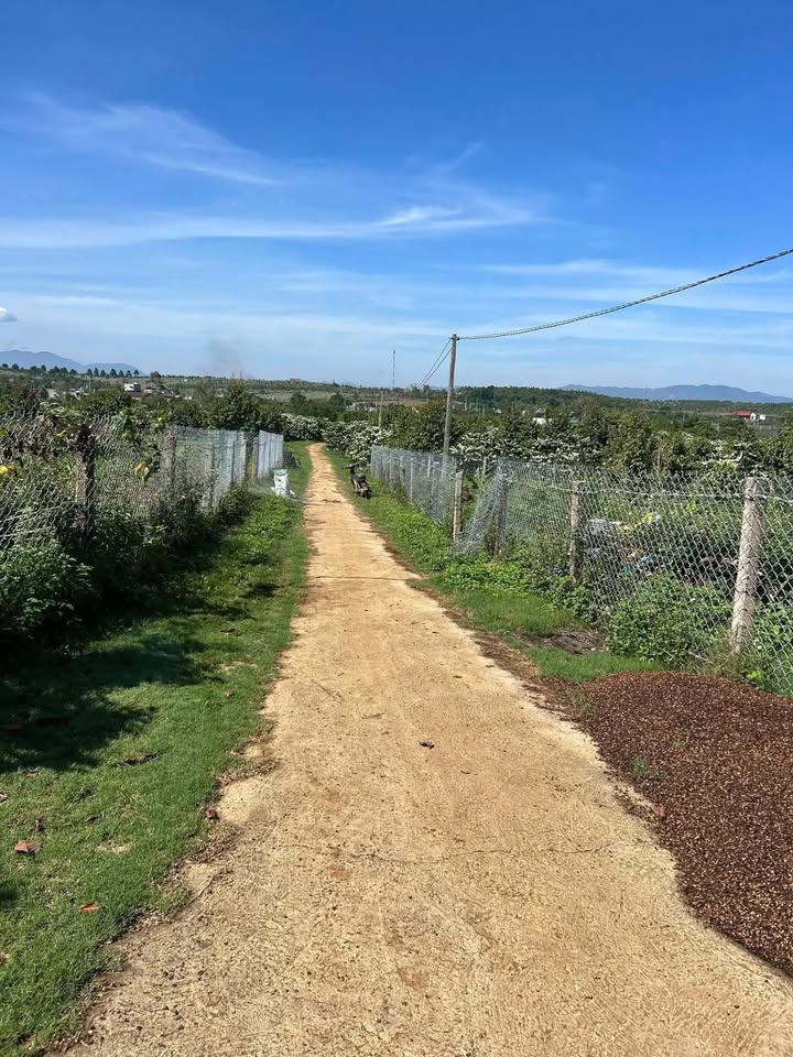 Đất nền Hòa Ninh, Di Linh 3600m² giá 800 triệu - Mặt tiền đường bê tông thuận lợi!