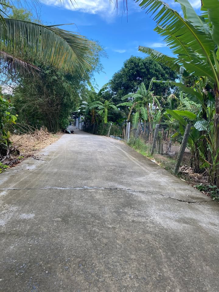 Đất nền 1350m² tại Thuận Hưng - Bến sông mát mẻ, giá thương lượng!