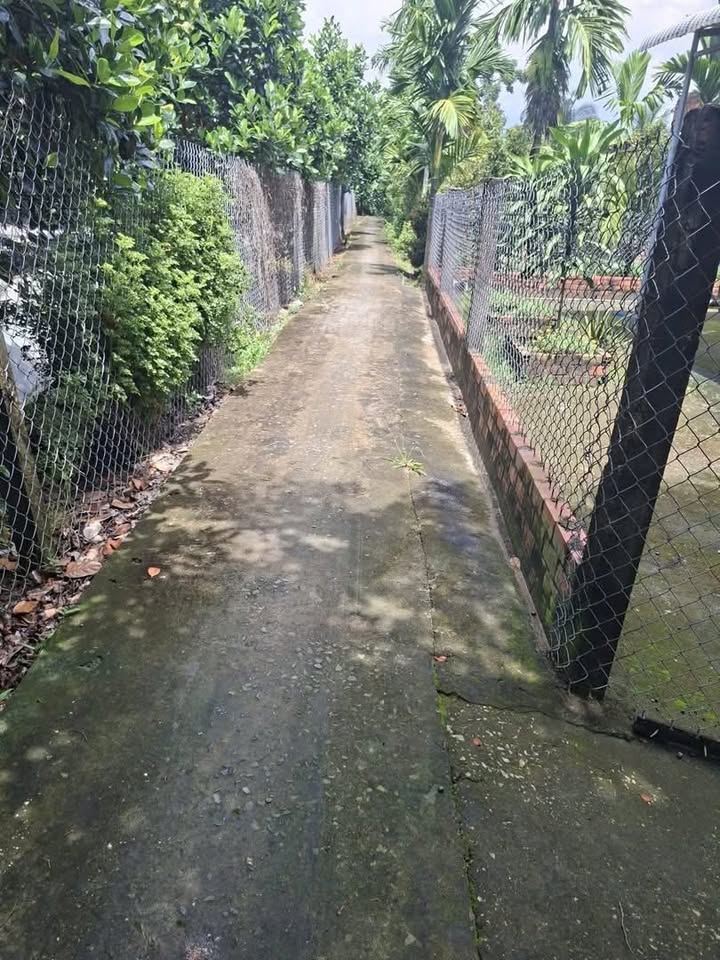 Nhà cấp 4 Long Thới Chợ Lách 500m² giá 650 triệu - Dọn vào ở ngay!