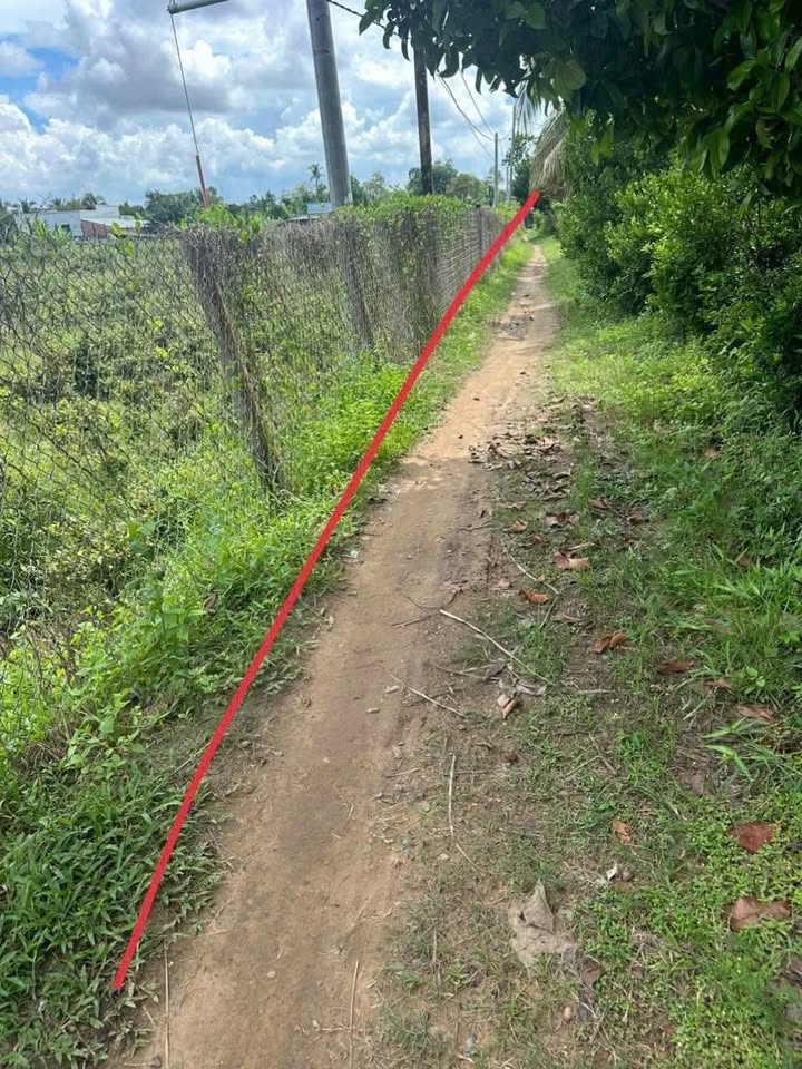 Đất nền Tân Thiềng, Chợ Lách 2500m² giá 550 triệu - Tiềm năng phát triển lớn!