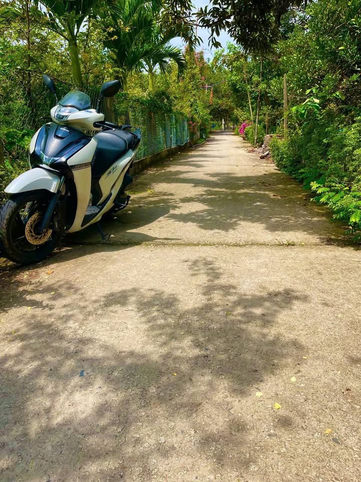 Đất vườn trái cây Chôm Chôm xã Phú Phụng 2500m² giá chỉ 670 triệu - Cơ hội đầu tư hấp dẫn!