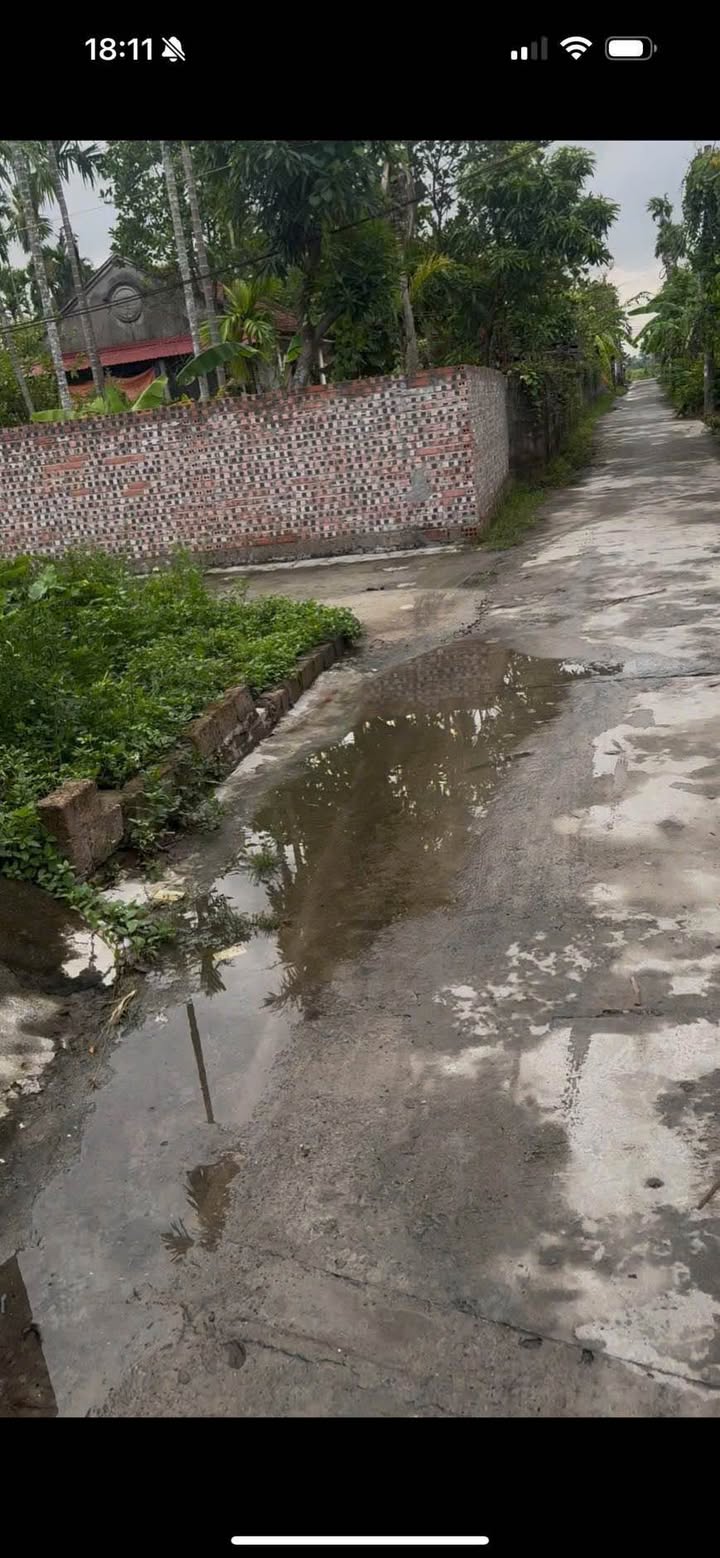 Đất nền Hoa Động, Thủy Nguyên, Hải Phòng 81m² - Vị trí đắc địa, dân cư đông đúc!