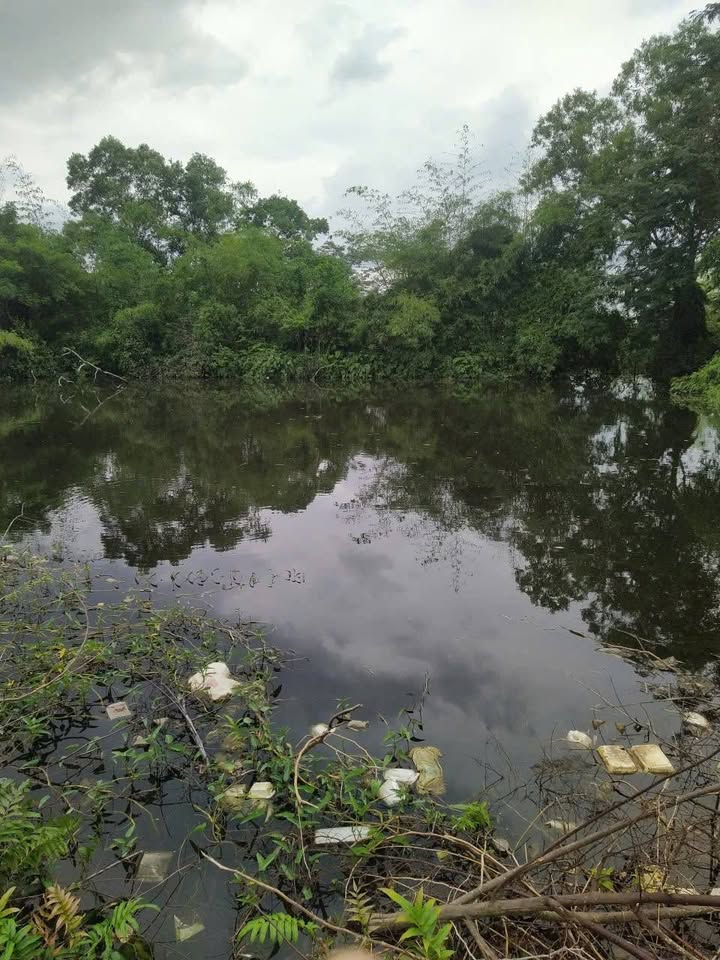 Đất nền 1800m² hẻm 4 xã Đại Tâm giá 1.5 tỷ - Cơ hội đầu tư hiếm có!