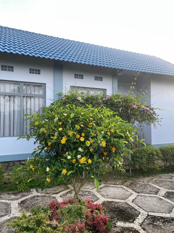 Nhà vườn Lộc An 4 triệu - Nghỉ dưỡng tuyệt vời, sẵn nội thất!