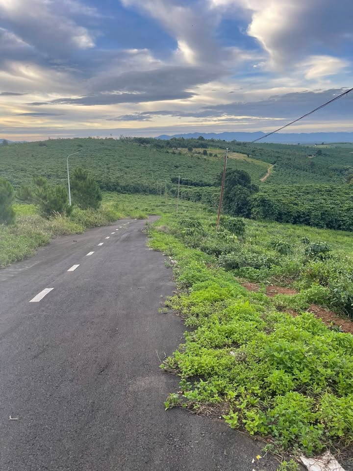 Đất thổ cư Lộc Quảng Bảo Lâm 2070m² giá 1.4 tỷ - Chính chủ bán gấp!