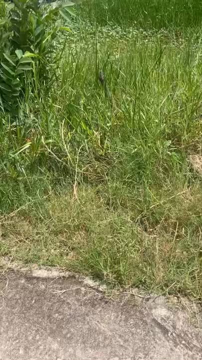 Đất nền khu phố 5, Mỹ Phước, Bến Cát 210m² giá chỉ 1.2 tỷ - Cơ hội đầu tư tuyệt vời!