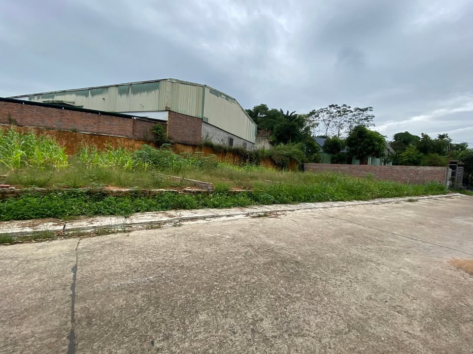 Đất nền tại Khu 4, Hy Cương, Việt Trì 82m² giá 1.4 tỷ - Cơ hội đầu tư tuyệt vời!