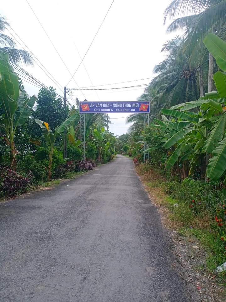 Đất mặt tiền Ô Chích A, Song Lộc 1000m² giá 750 triệu - Cần tiền bán gấp!