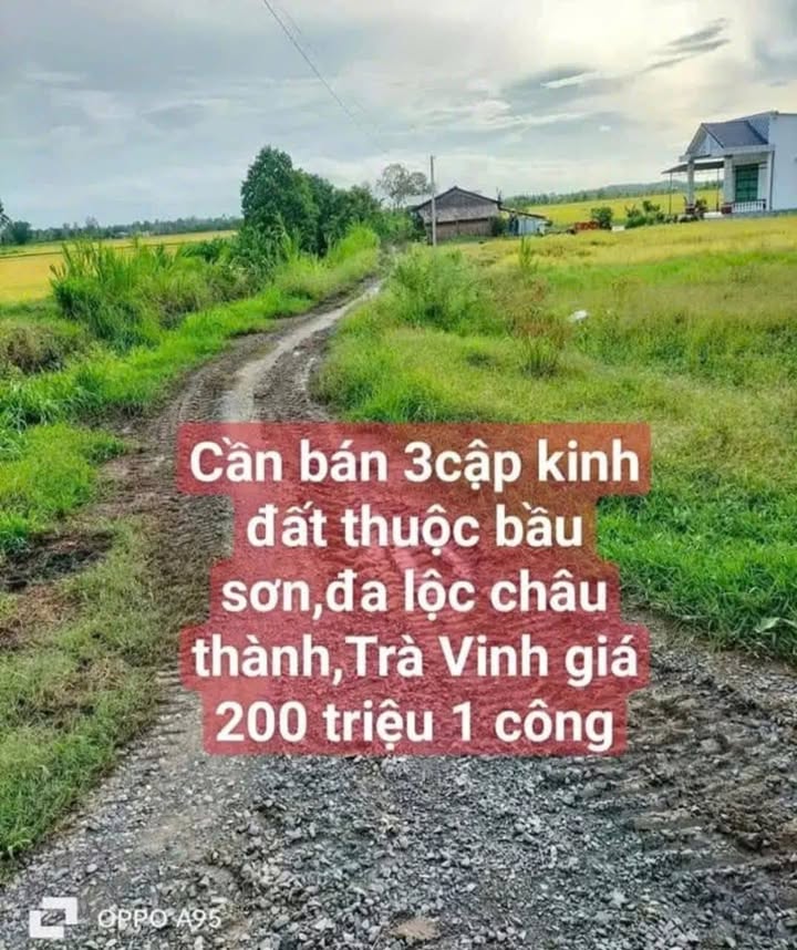 Đất nền Đa Lộc 3,8 công giá chỉ 760 triệu - Đầu tư sinh lời ngay!