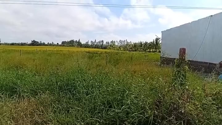 Đất nền Thạnh Lộc Châu Thành 250m² giá thỏa thuận - Đầu tư lý tưởng cho nhà vườn