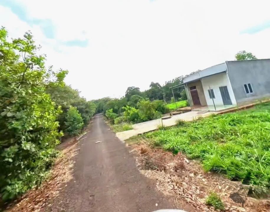 Đất nền Long Hưng Phú Riềng 430m² giá 300 triệu - Đường nhựa thông thoáng