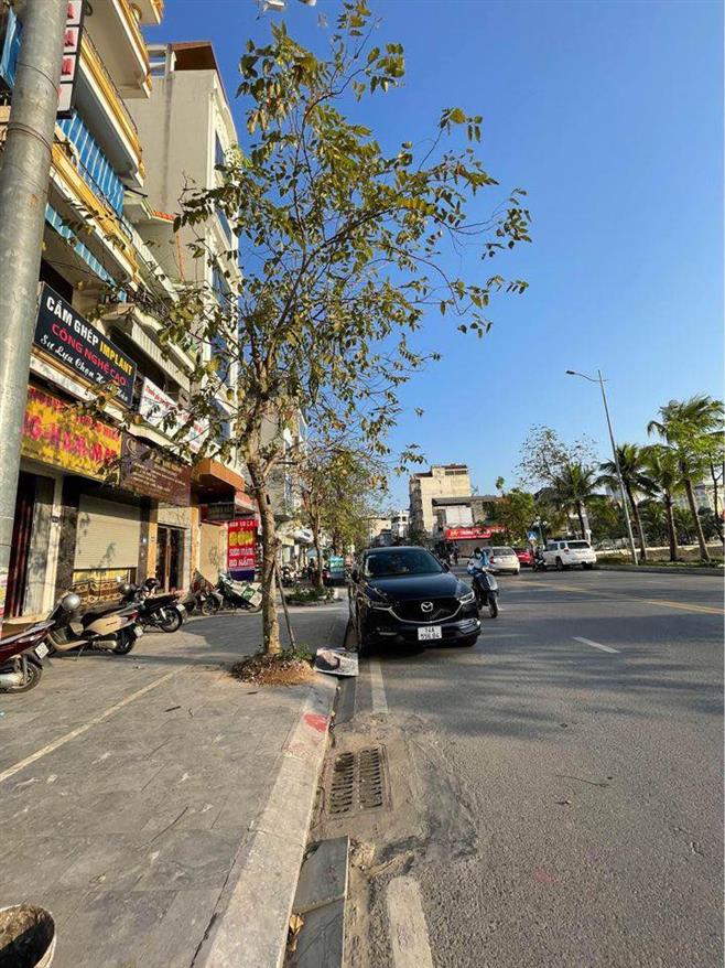 Đất nền Bãi Cháy 60m² giá 4 tỷ - Vị trí trung tâm du lịch sầm uất!