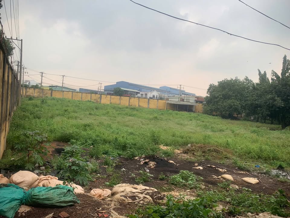 Cho thuê đất mặt tiền An Phú 5000m² giá 100 triệu - Địa điểm lý tưởng cho kinh doanh!