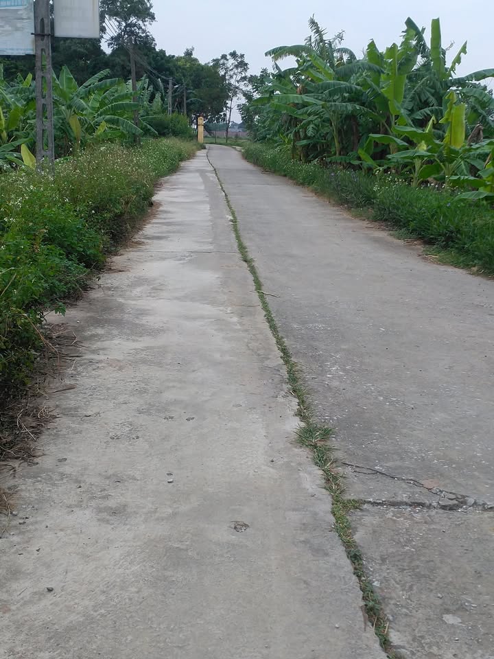 Đất nền Yên Tân, Ý Yên, 150m² giá 8xx triệu - Đầu tư hợp lý cho gia đình!