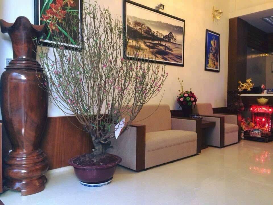 Khách sạn KQH Hoàng Văn Thụ Đà Lạt 120m² giá 30 tỷ - Cơ hội đầu tư sinh lời cao!